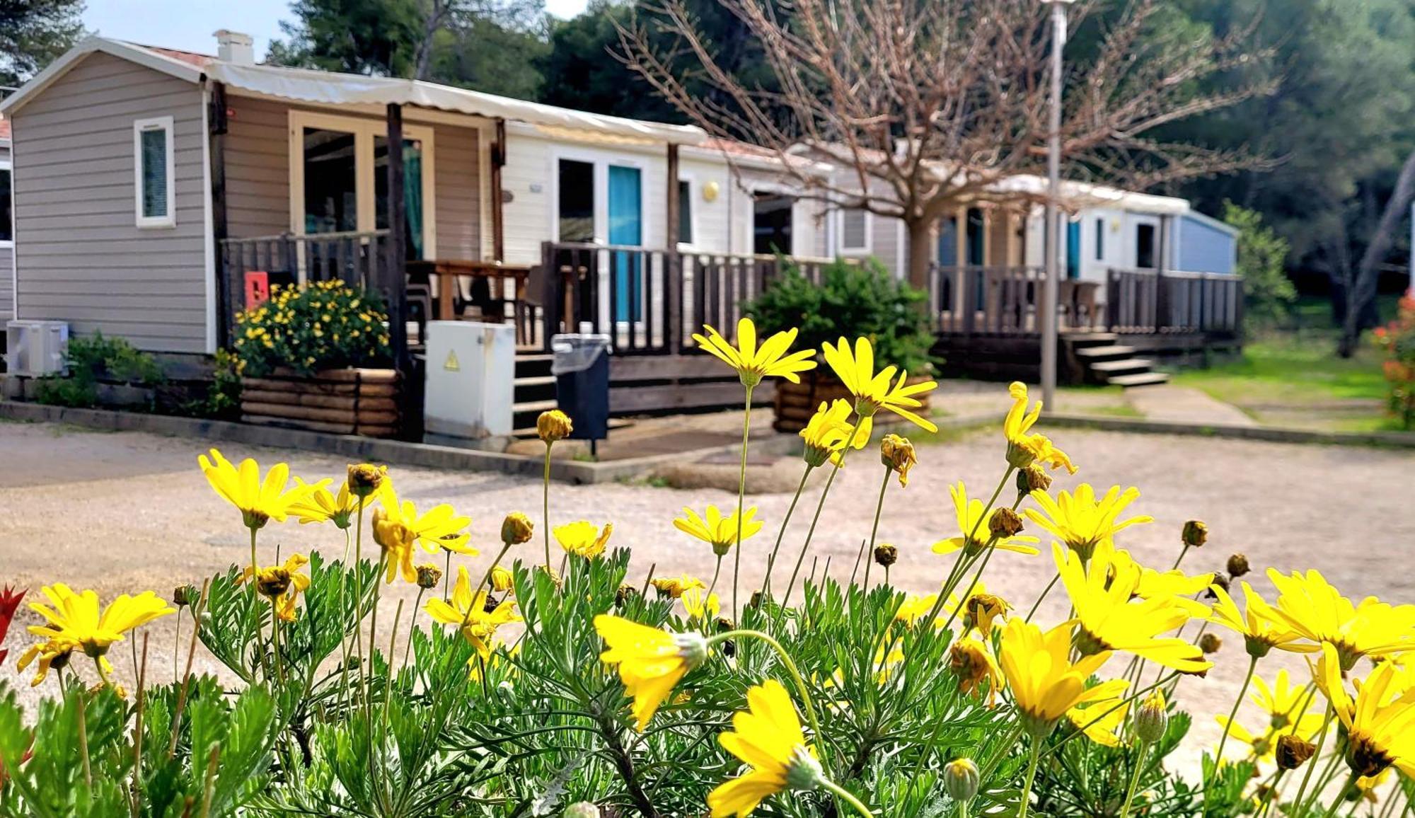 Camping Aux Portes De Cassis 로크포르라베둘 외부 사진